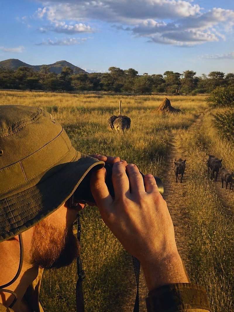 Safari-Beobachtung in Namibia