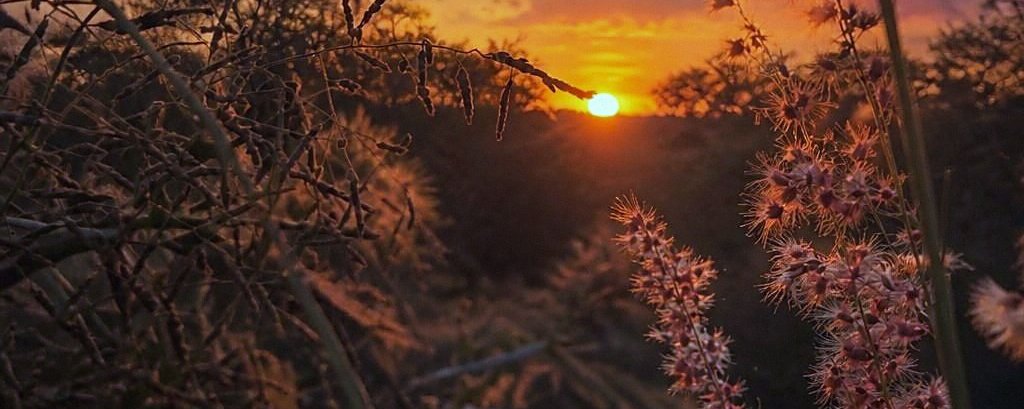 Sonnenuntergang in Namibia